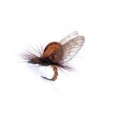 Mayfly Emergente