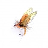 Mayfly Emerger