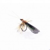 Mouche Caddis Adulte