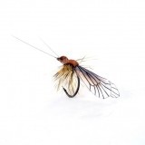 Mouche Caddis Adulte